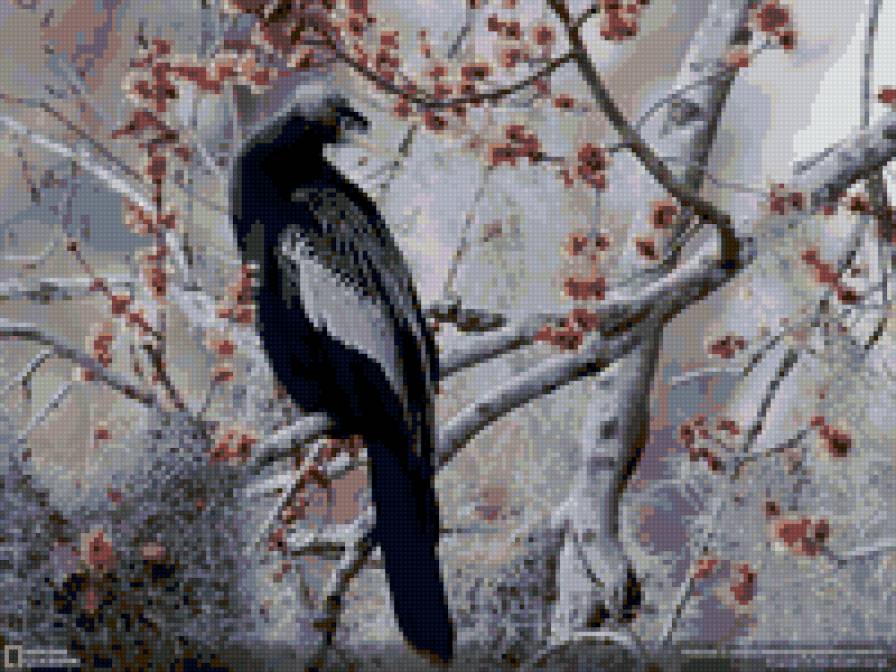 №38120 - предпросмотр