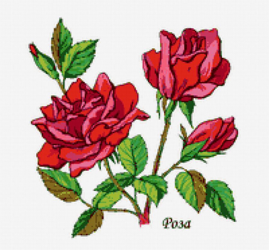 404 - цветы - предпросмотр