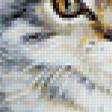 Предпросмотр схемы вышивки «коты» (№38461)