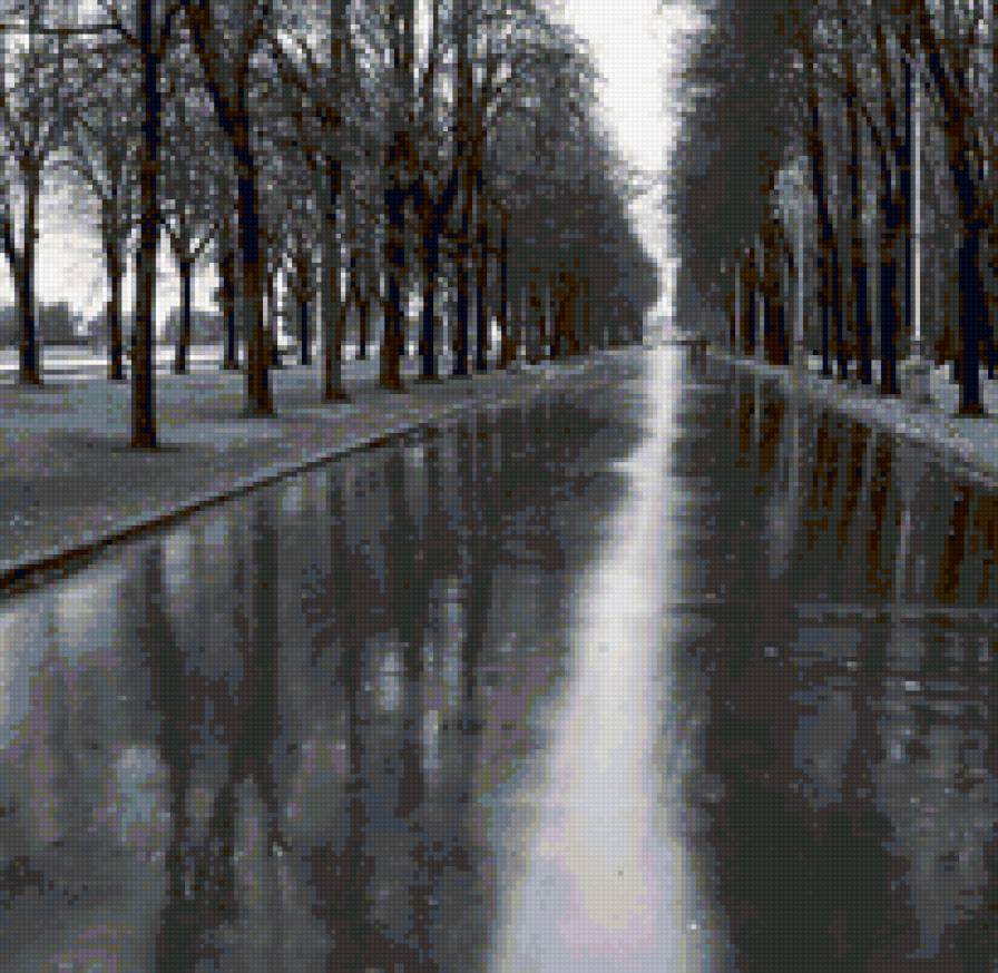 аллея - осень, город, черно-белое - предпросмотр