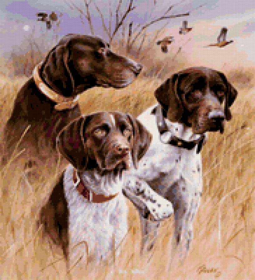 На охоте - охота - предпросмотр