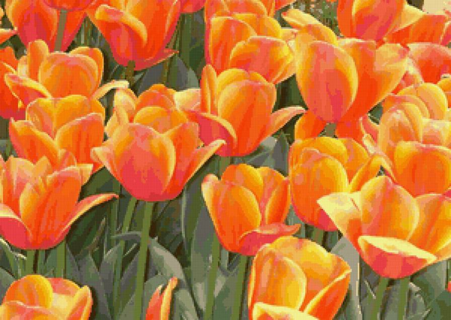 413 - цветы - предпросмотр