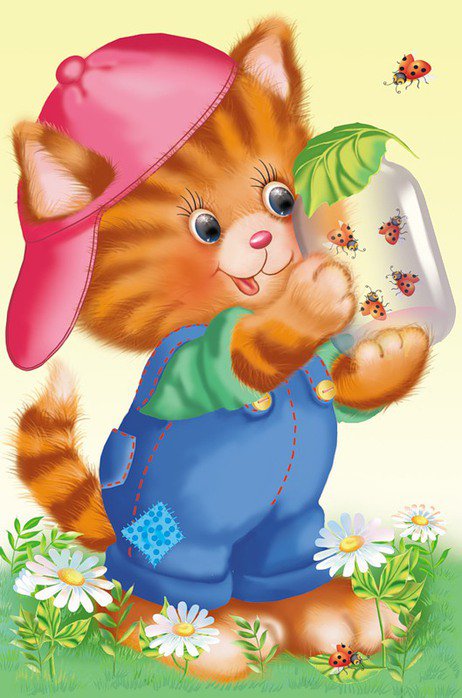 котик - оригинал