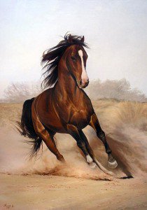 красавчик - лошадь, животное, конь - оригинал