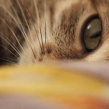 Схема вышивки «Пузырек»