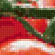 Предпросмотр схемы вышивки «помідорчики» (№39038)