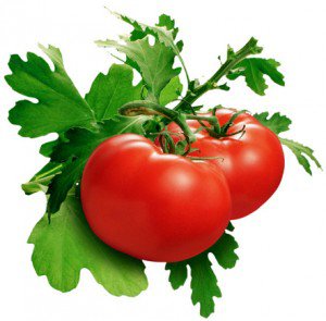 помідорчики - помидоры, на кухню, овощи - оригинал