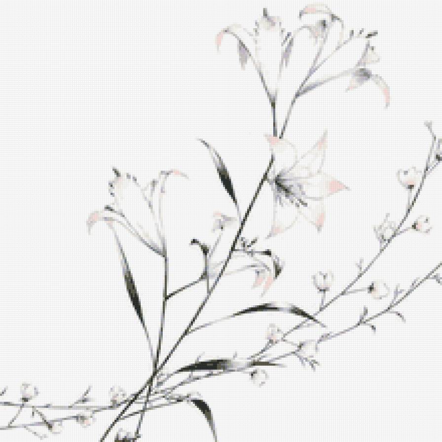 Ветка - цветы, ветка, лилии, растение, цветок - предпросмотр