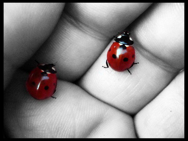 №39493 - текстура, подушка, картина - оригинал