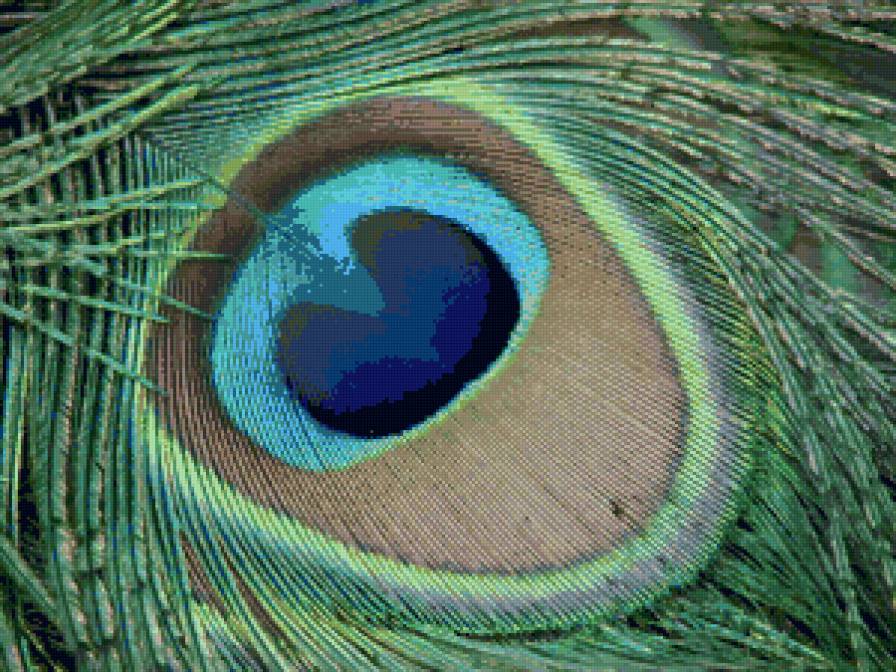 №39503 - птицы, картина, животные, подушка, текстура - предпросмотр