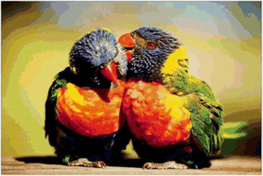 №39526 - попугаи, птицы, картина - предпросмотр
