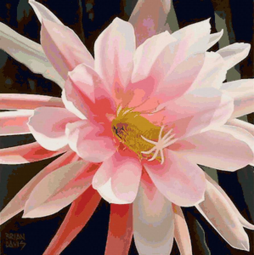 №39529 - подушка, картина, цветок - предпросмотр