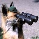 Схема вышивки «№39658»