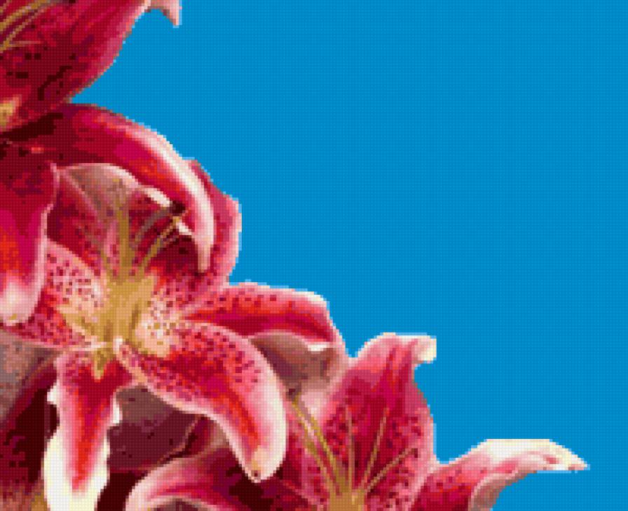 Лилии - цветы - предпросмотр