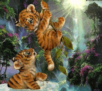 тигрята - тигрята - оригинал