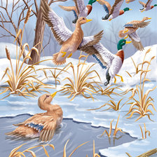 Схема вышивки «серая шейка»