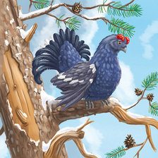 Схема вышивки «тетерев»