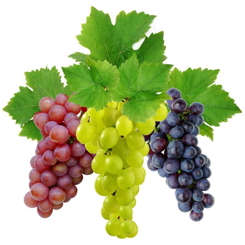 виноград - фрукты, на кухню, виноград - оригинал