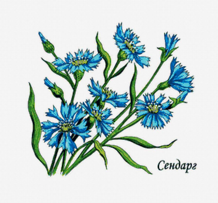 414 - цветы - предпросмотр