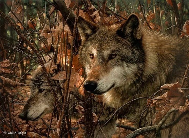 волки - природа, живопись, животные - оригинал