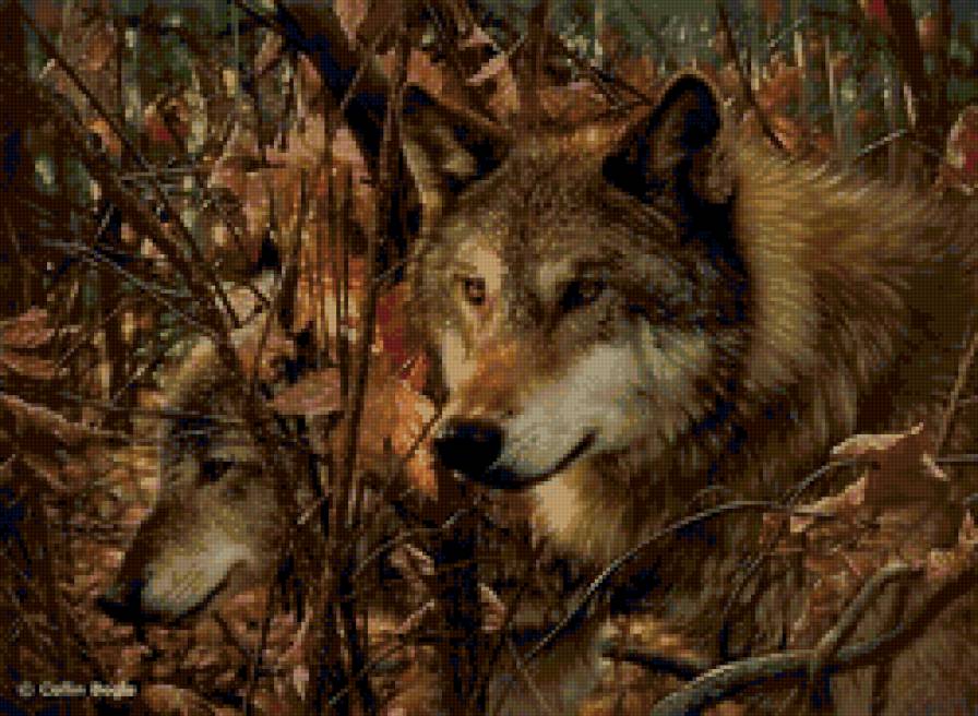 волки - животные, природа, живопись - предпросмотр