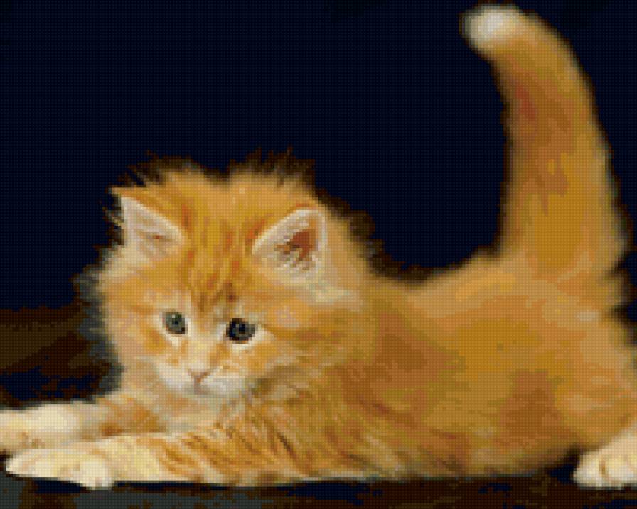 878 - кошки, природа, котята, животные - предпросмотр