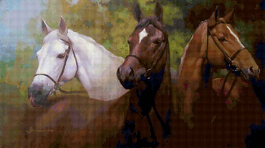 кони - природа, животные - предпросмотр