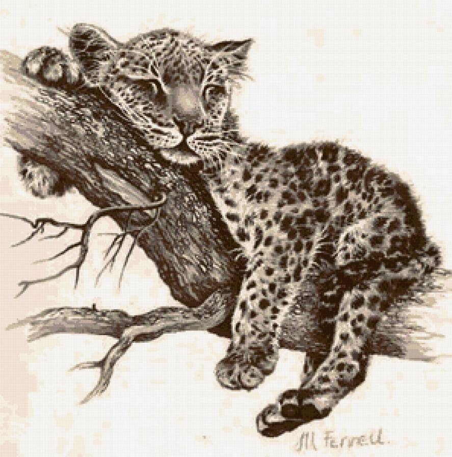 Variant 1 - leopard - предпросмотр