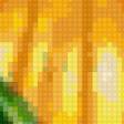 Предпросмотр схемы вышивки «Тыква» (№41654)