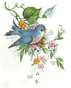 Птичка - цветы, птицы, райские птички, розочки, птички, розы - оригинал