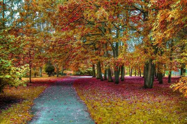 Осень в парке - живопись, пейзаж - оригинал