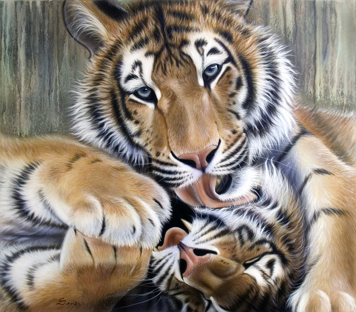 Тигры - животные, дикие кошки - оригинал