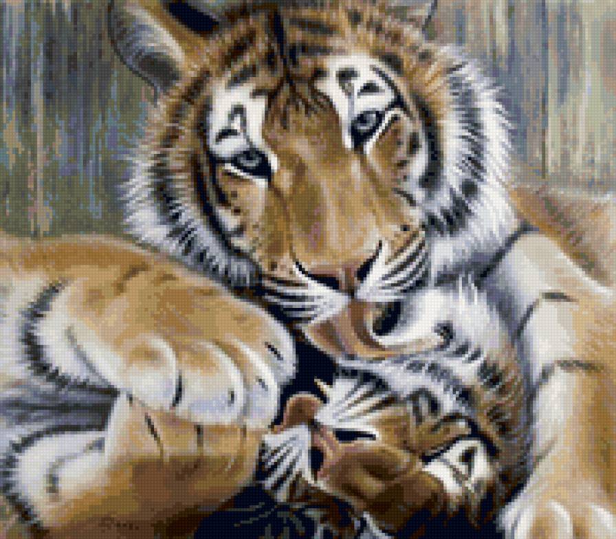 Тигры - животные, дикие кошки - предпросмотр
