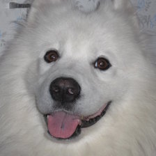 Схема вышивки «лайка»