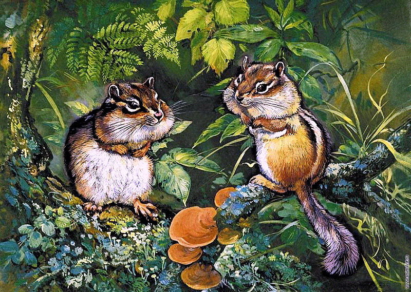 0014 - красота, живопись, лес, лето, картина, животные, природа - оригинал