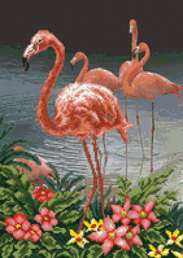 Красивые фламинго - фламинго, цветы, природа, берег, птицы - предпросмотр