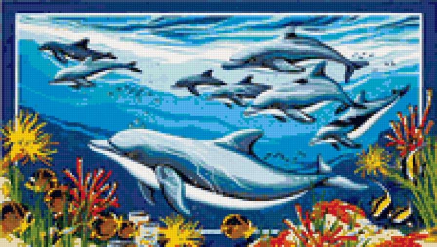 Дельфины - подводный мир, дельфины - предпросмотр