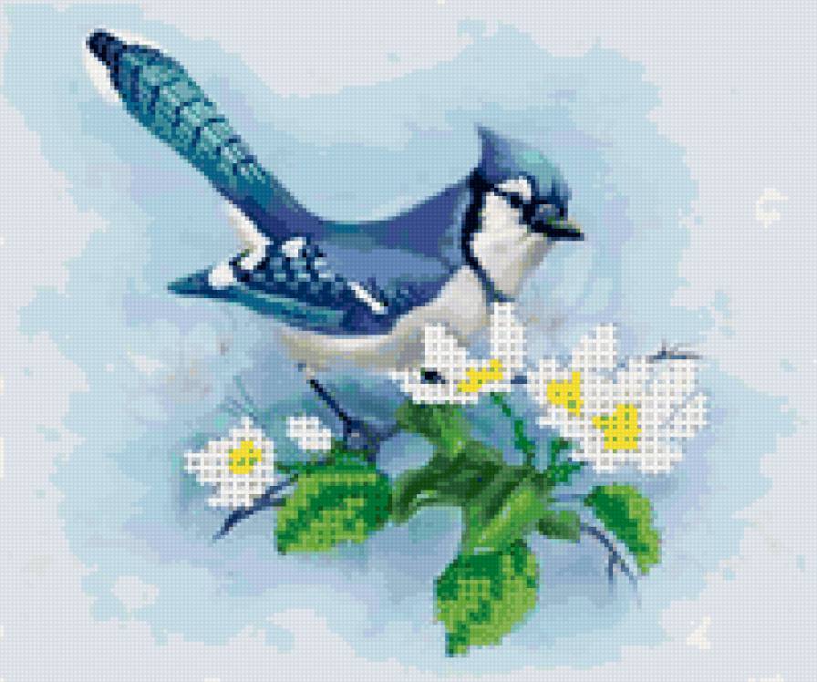 Сойка на ветке - цветы, птичка, сойка - предпросмотр