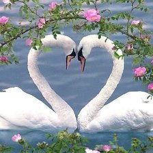 Схема вышивки «любовь»