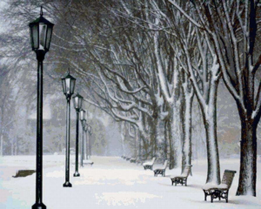 Заснеженная аллея - снег, фонари, зима, природа - предпросмотр