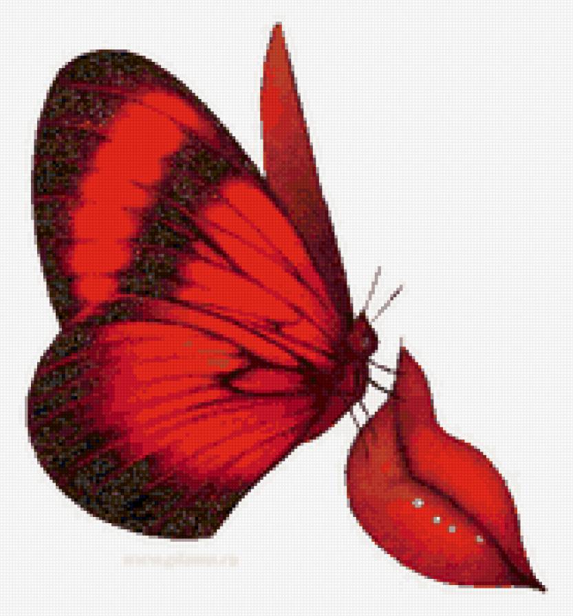 бабочка - бабочка, губы - предпросмотр