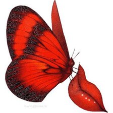 Оригинал схемы вышивки «бабочка» (№42866)