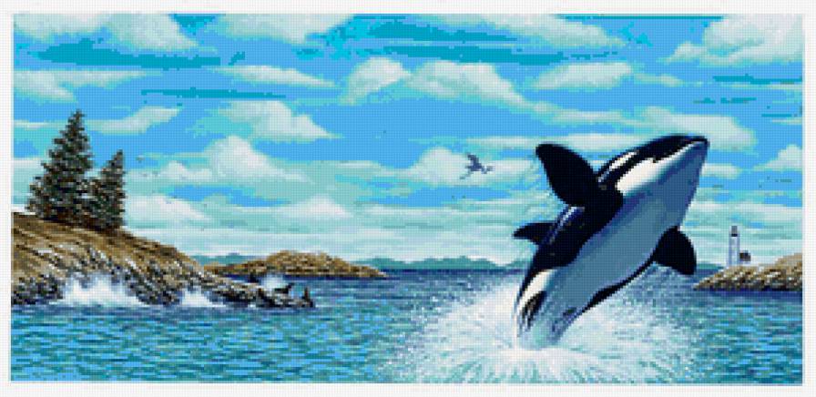 Касатка - касатка, живопись, животные, море, пейзаж - предпросмотр