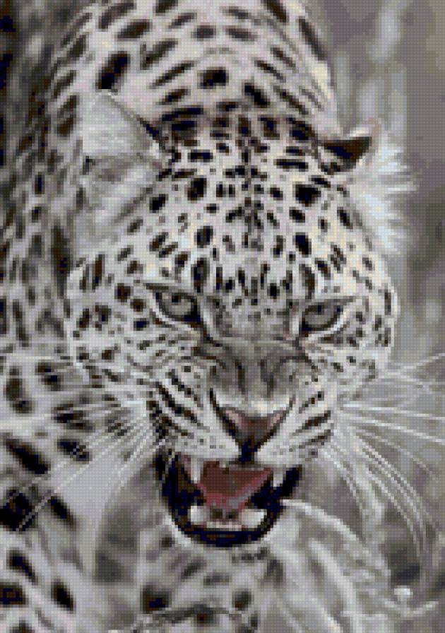 №42910 - предпросмотр