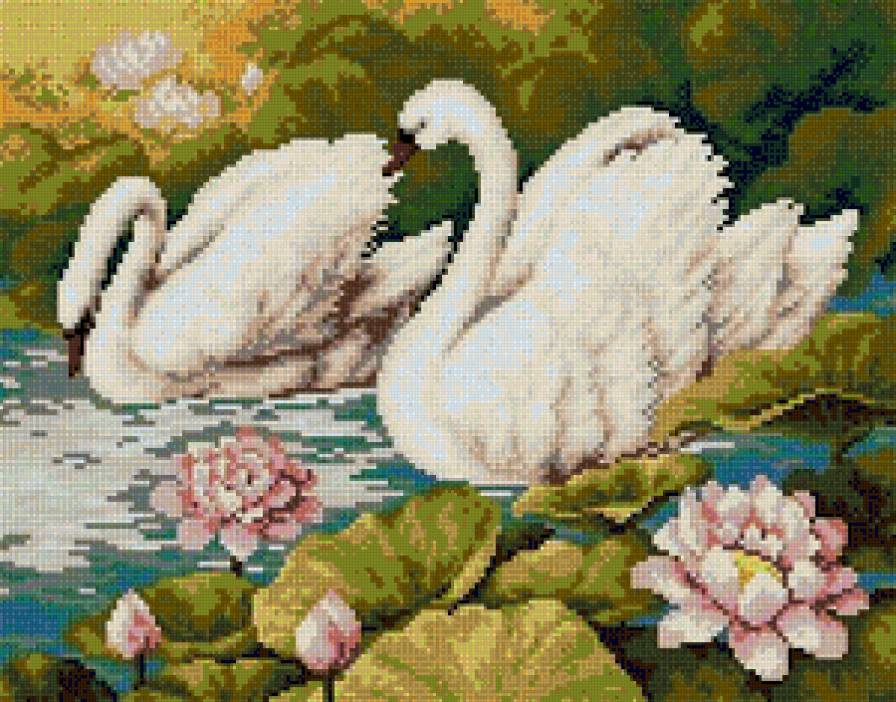 №43000 - лебедь - предпросмотр