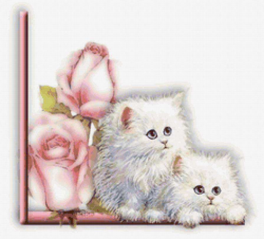 Серия "Цветы" - цветы, розы, котята, кошки - предпросмотр