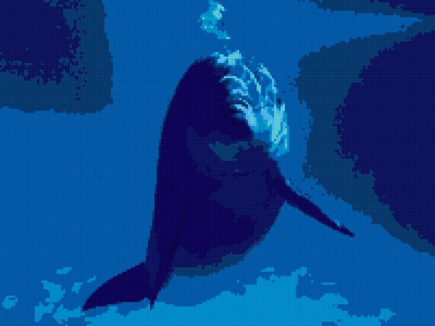 дельфин3 - животные, дельфин, природа - предпросмотр