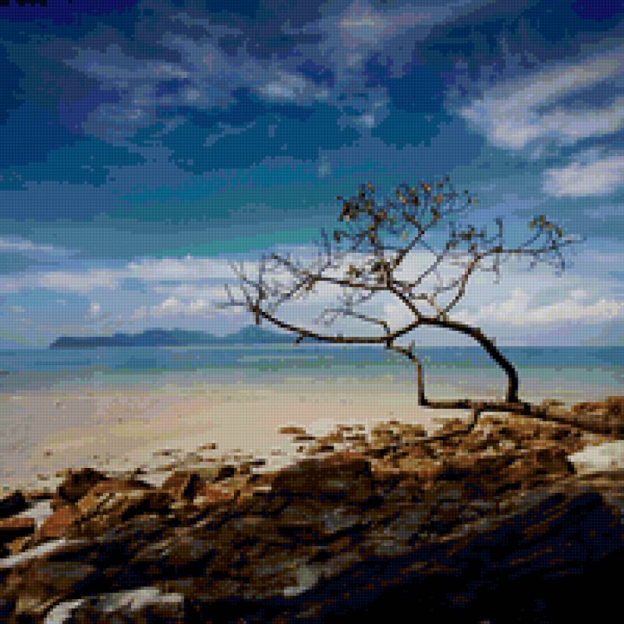 5648 - природа - предпросмотр