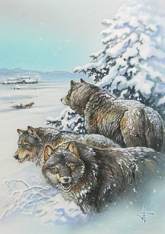 стая - природа, зима, хищник, волк, животные - оригинал