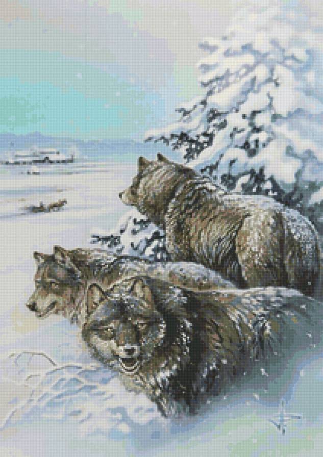 стая - животные, волк, зима, хищник, природа - предпросмотр